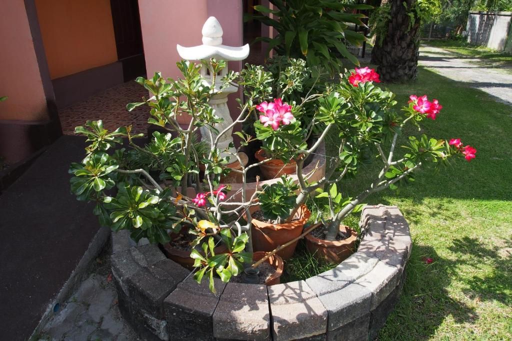 CoCo House Samui фото 14