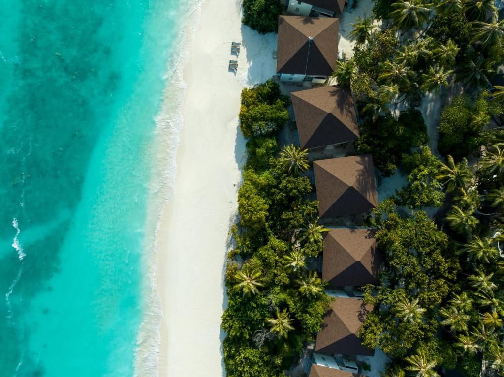Avani+ Fares Maldives Resort фото 76