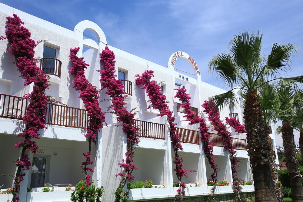 Natur Garden Hotel фото 45