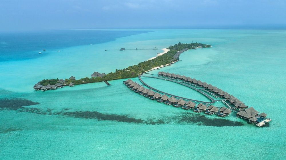 Taj Exotica Resort & Spa, Maldives фото 51