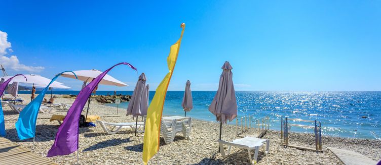 Фото отеля Отель Ардис