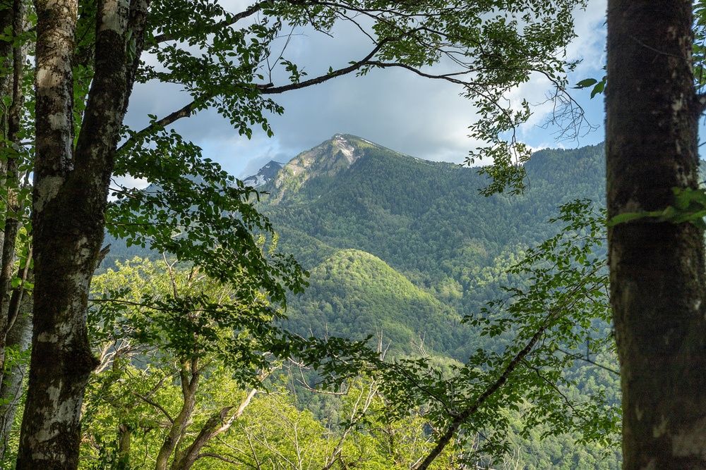 Счастье в горах фото 18