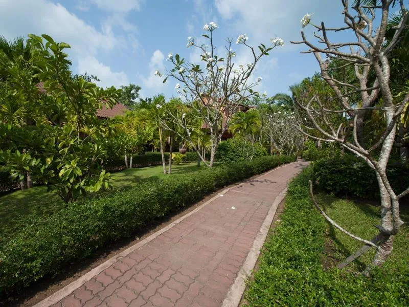 Pinnacle Samui Resort & Spa фото 5