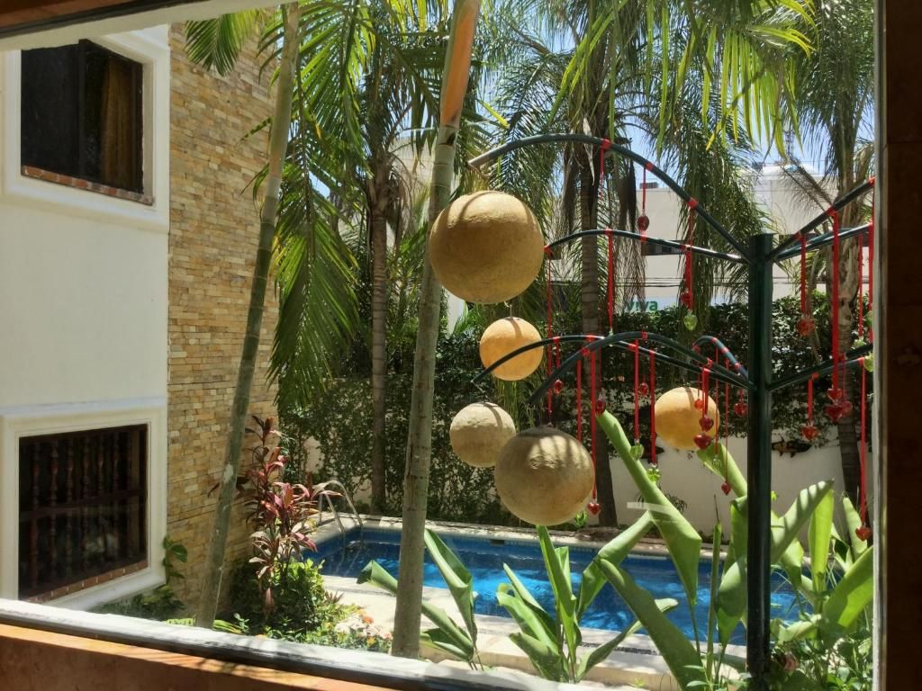 Las Golondrinas фото 16