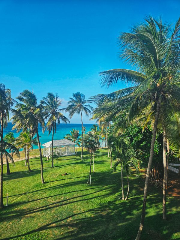 Melia Varadero фото 76
