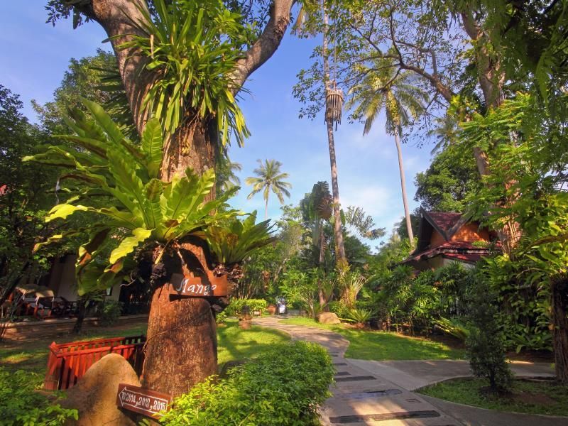 Sunrise Tropical Resort & Spa фото 22