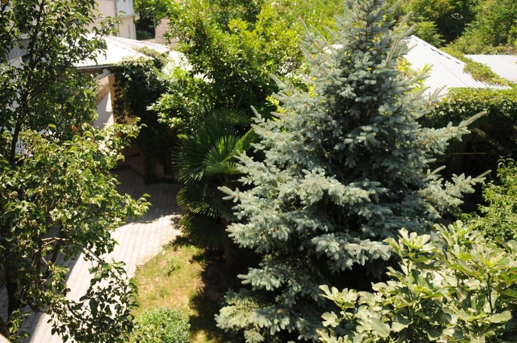 Гостиница «Guest House K&T» фото 30