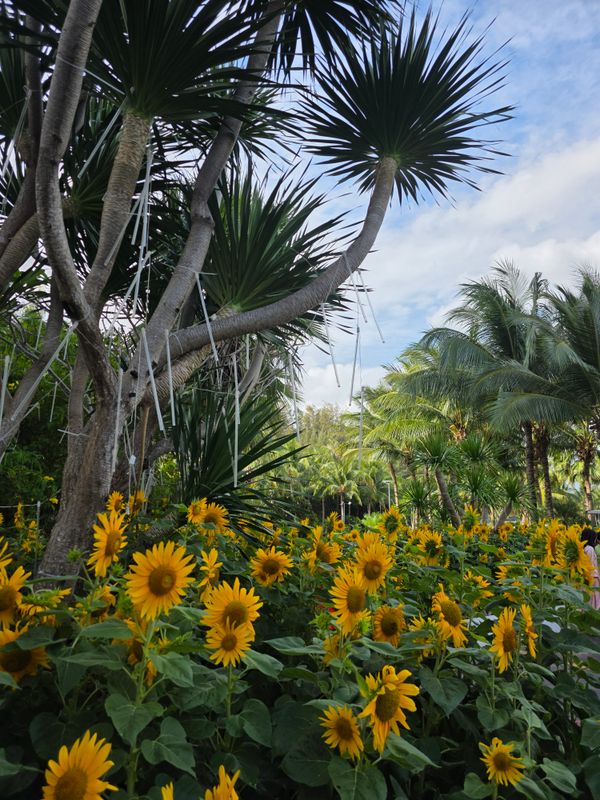 Selectum Noa Resort Cam Ranh фото 62