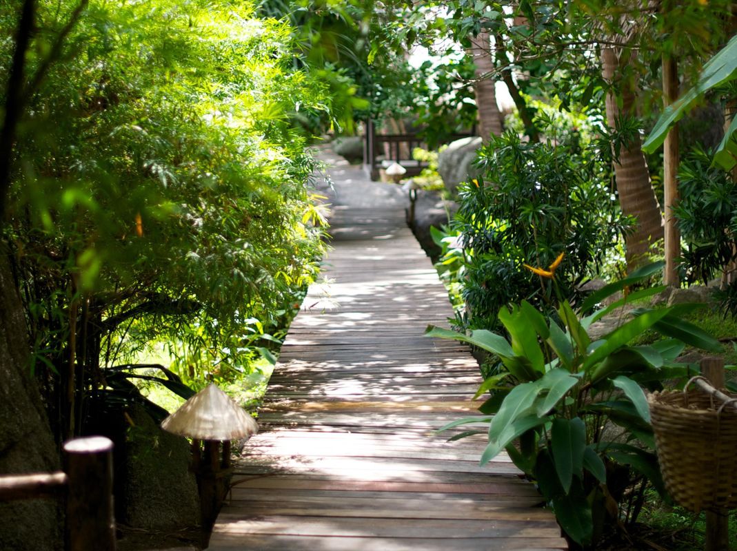 Sensi Paradise Beach Resort фото 29