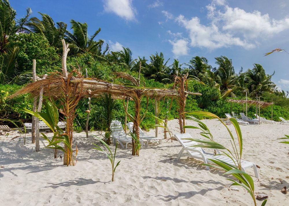 Guest House ««Plumeria Maldives» Guest House» фото 82