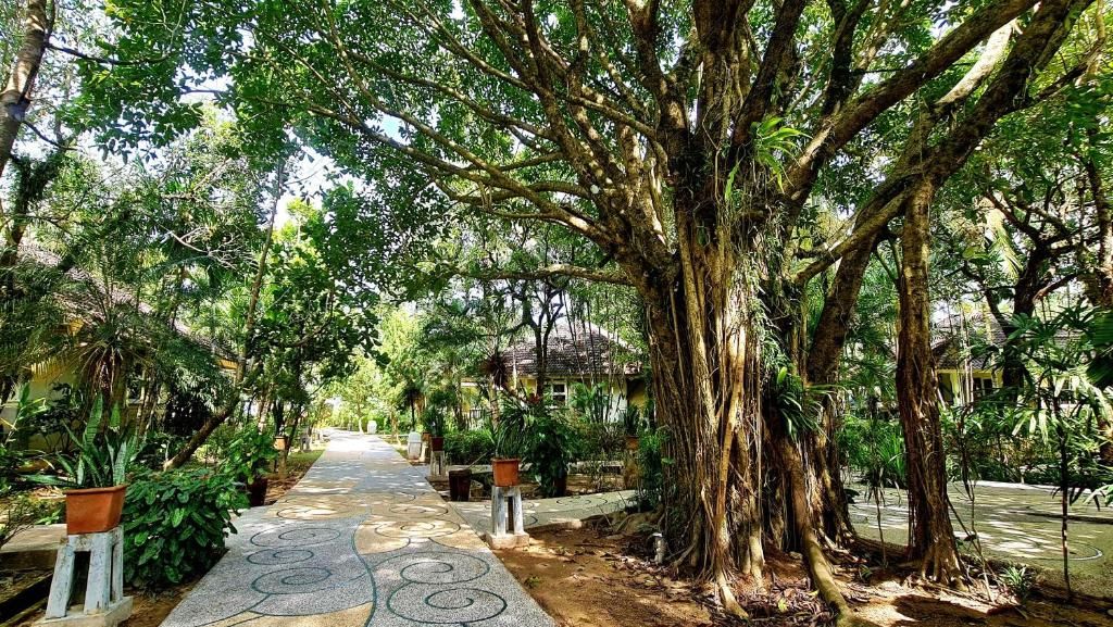 Baan Khaolak Beach Resort фото 35