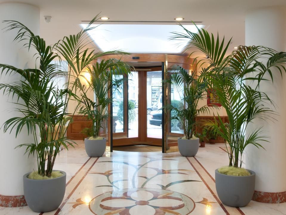 Hotel Marconi фото 13