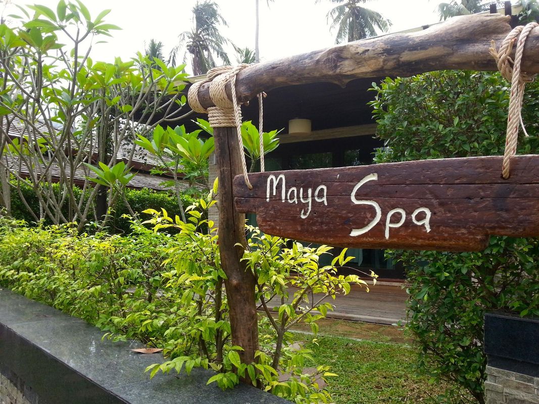 Niramaya Villa & Wellness Resort фото 29