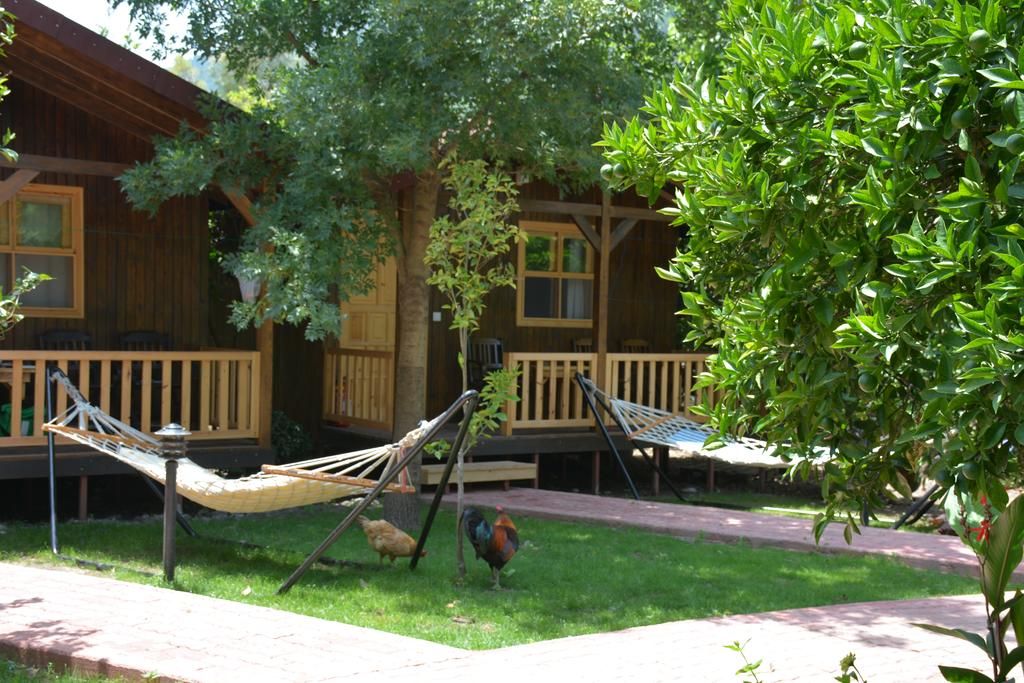 Гостевой дом «Caretta Caretta Pension» фото 34