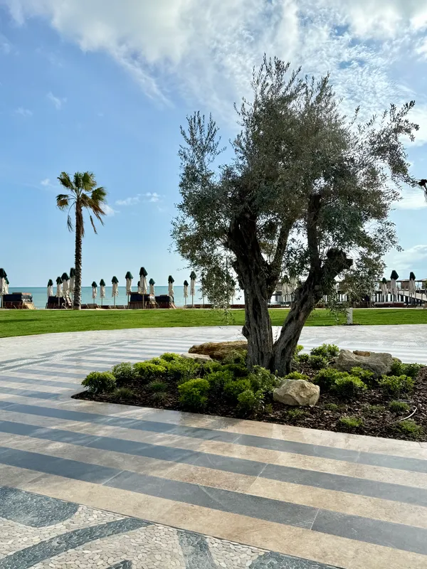 Ethno Belek фото 135