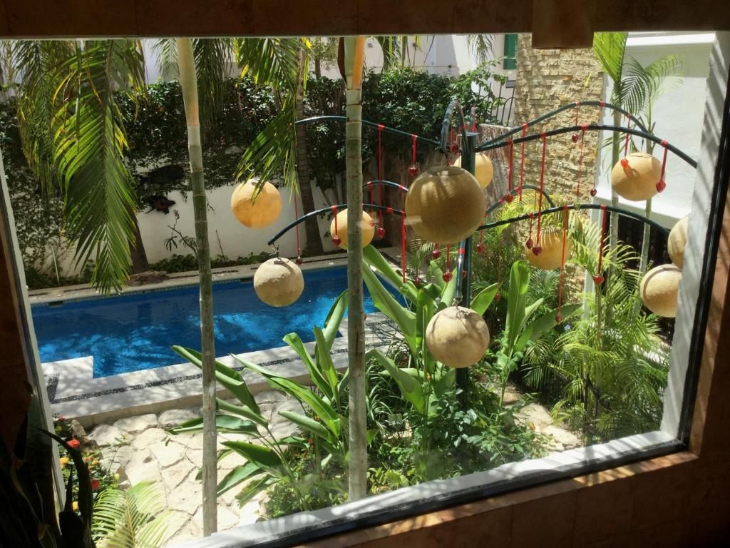 Las Golondrinas фото 15