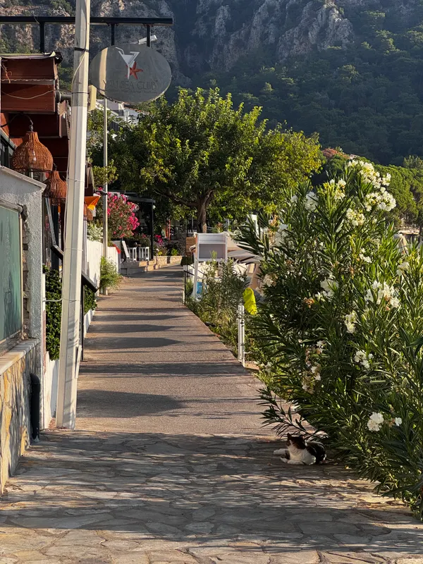 Ozcan Beach Hotel фото 32