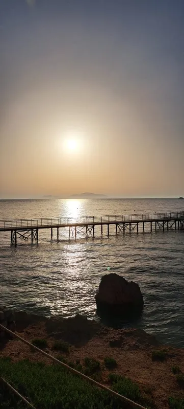 Pickalbatros Royal Grand Resort Sharm El Sheikh (Adults Only) фото 133