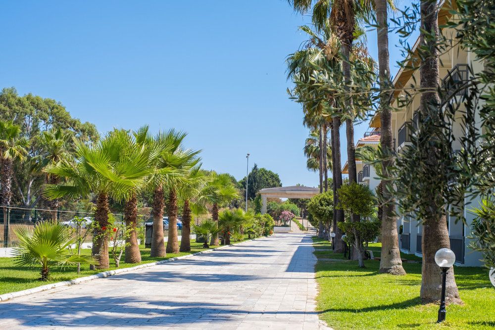 Sural Garden фото 74