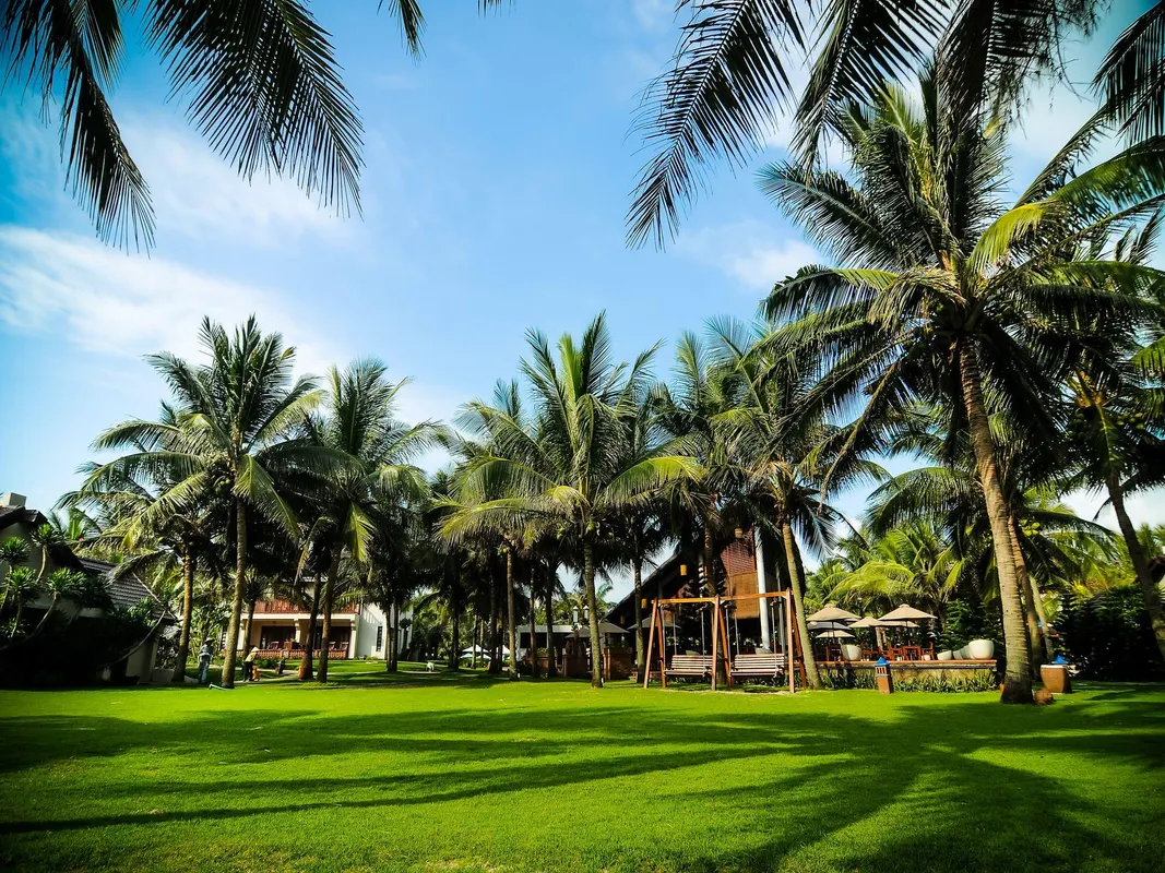 Palm Garden Beach Resort & Spa фото 43
