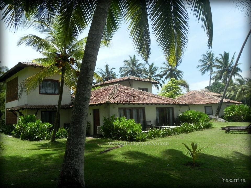 Kosgoda Beach фото 2