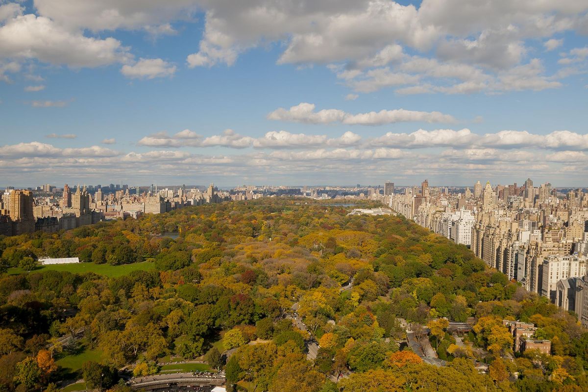 Park Lane Hotel - A Central Park Hotel фото 21