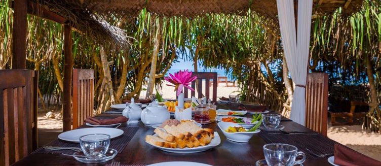 Фото отеля Jungle Beach Camp