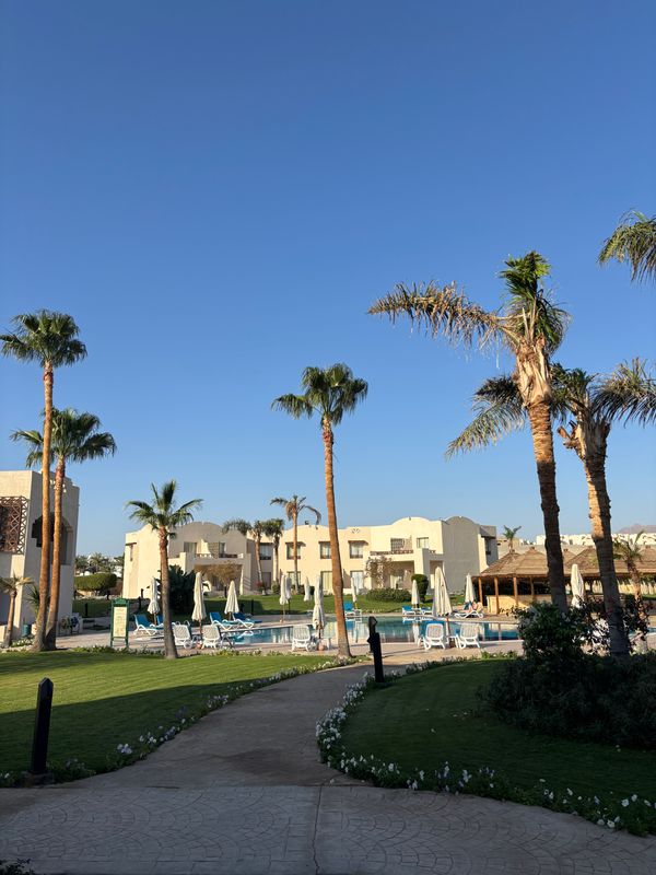 Naama Bay Promenade Mountain Resort фото 67