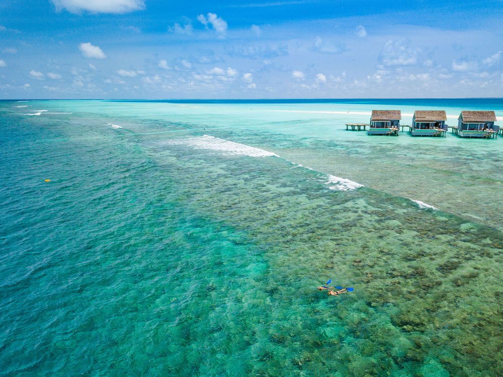 Niva Kuramathi Maldives фото 44