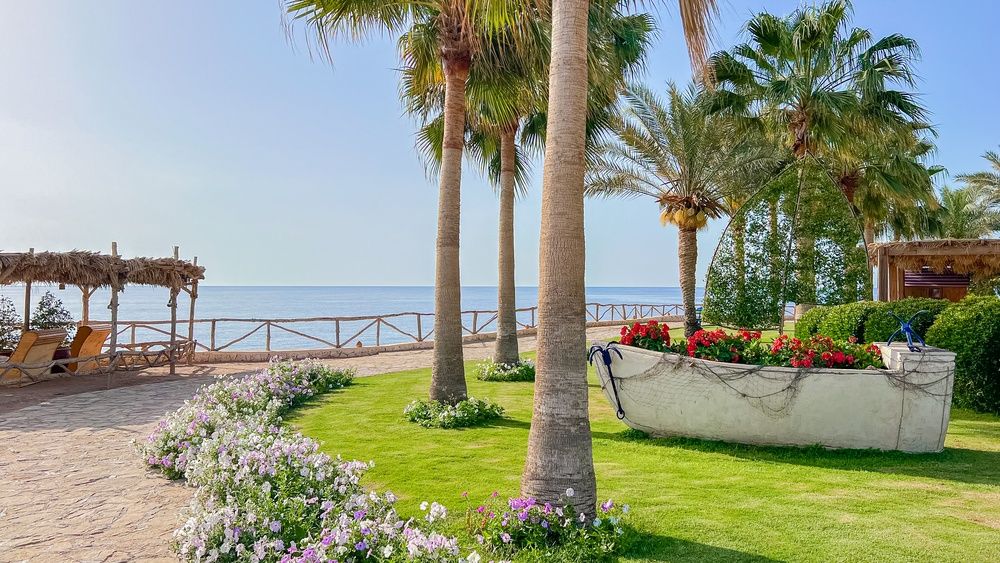 Sharm Club Beach Resort фото 200