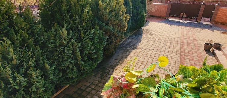 Фото отеля Гостевой дом «Парфена»