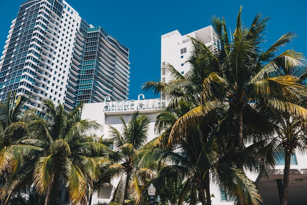 The Shore Club фото 15