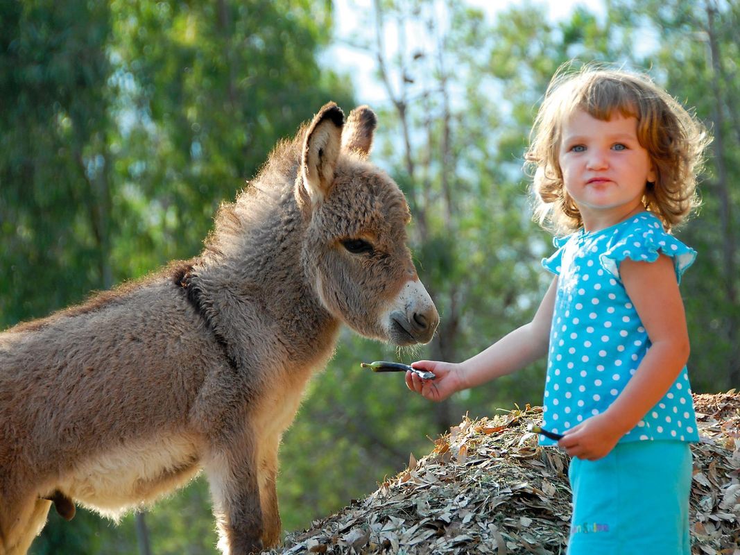 Arbatax Park Resort - Cottage фото 25