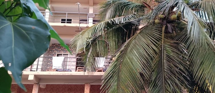 Фото отеля 21 Coconut Inn