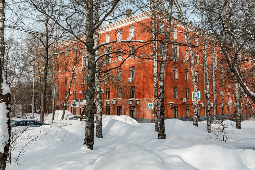 Максима Ирбис фото 24