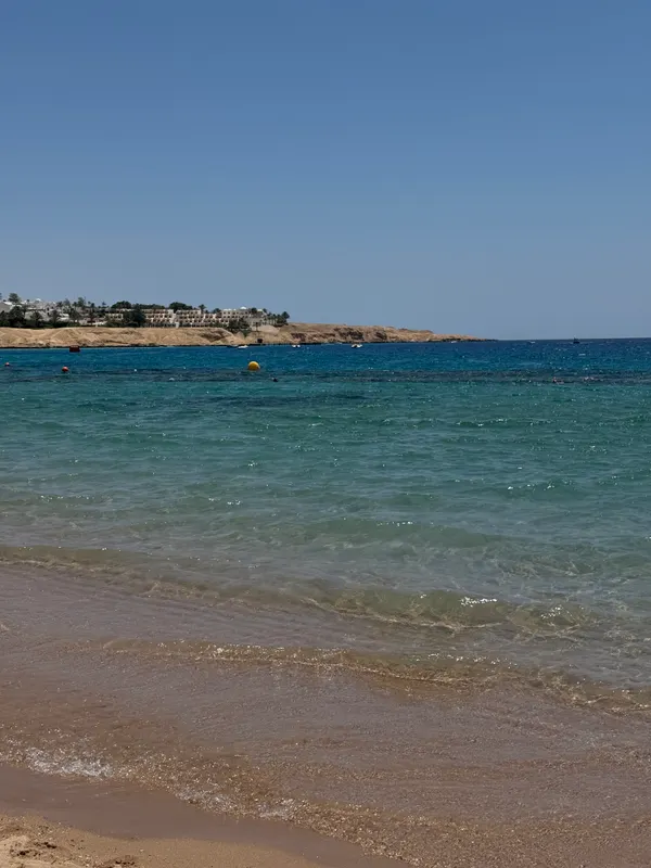 Sharm Dreams Vacation Club фото 10