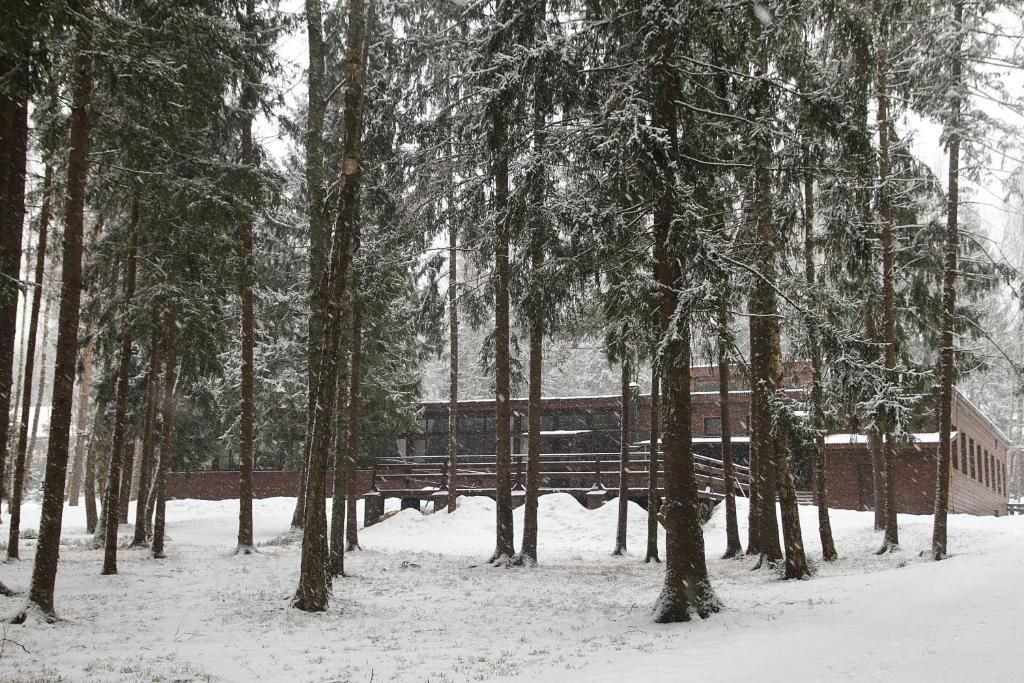 Парк-отель ««Воробьи»» фото 34