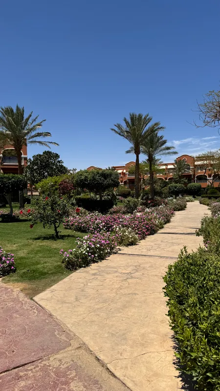 Sentido Caribbean World Resort Soma Bay фото 85