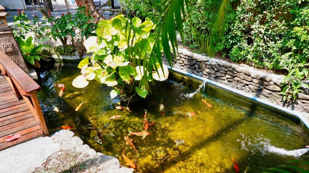 Garden Resort фото 42