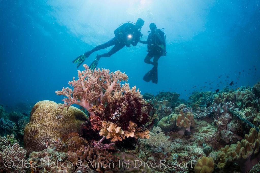 Amun Ini Beach Resort & Spa фото 44