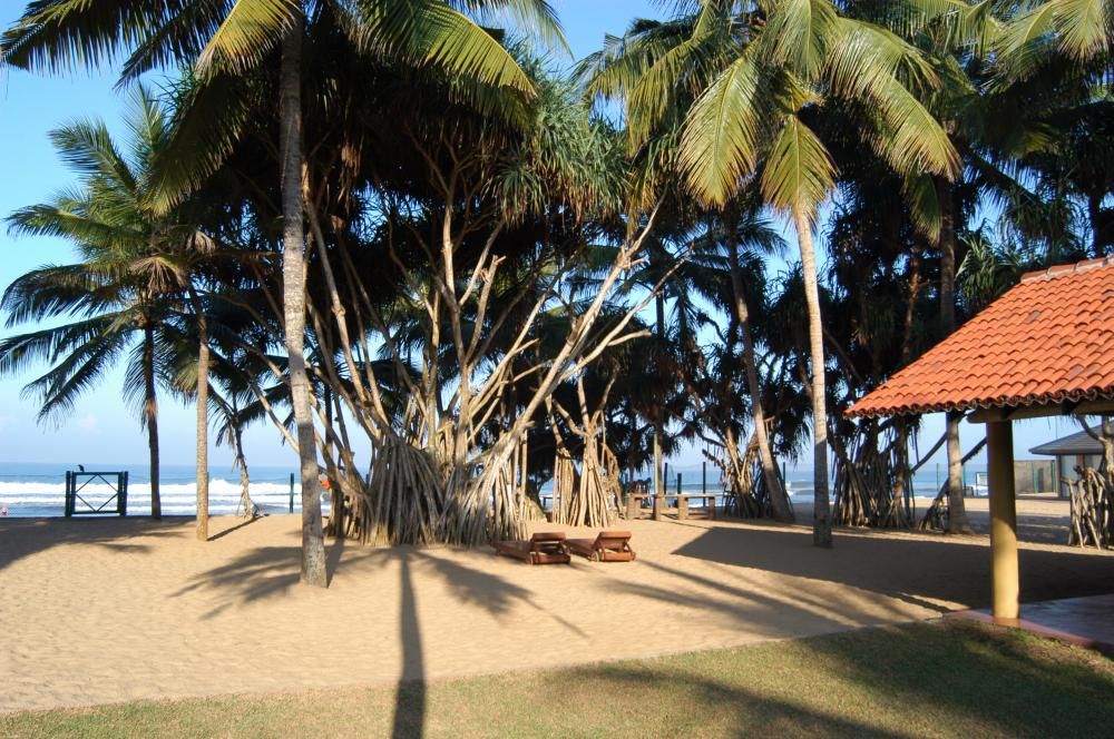 Hibiscus Beach Hotel фото 18