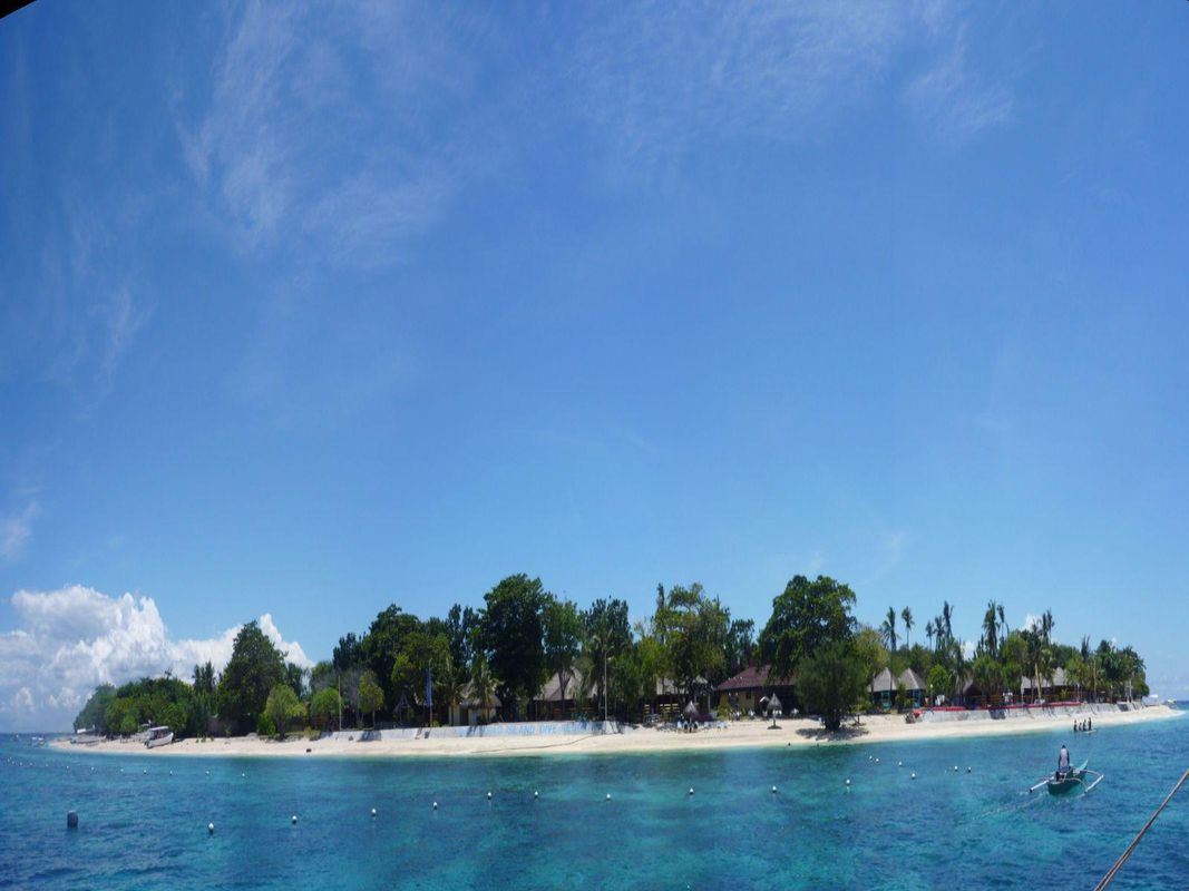 Balicasag Island Dive Resort фото 10