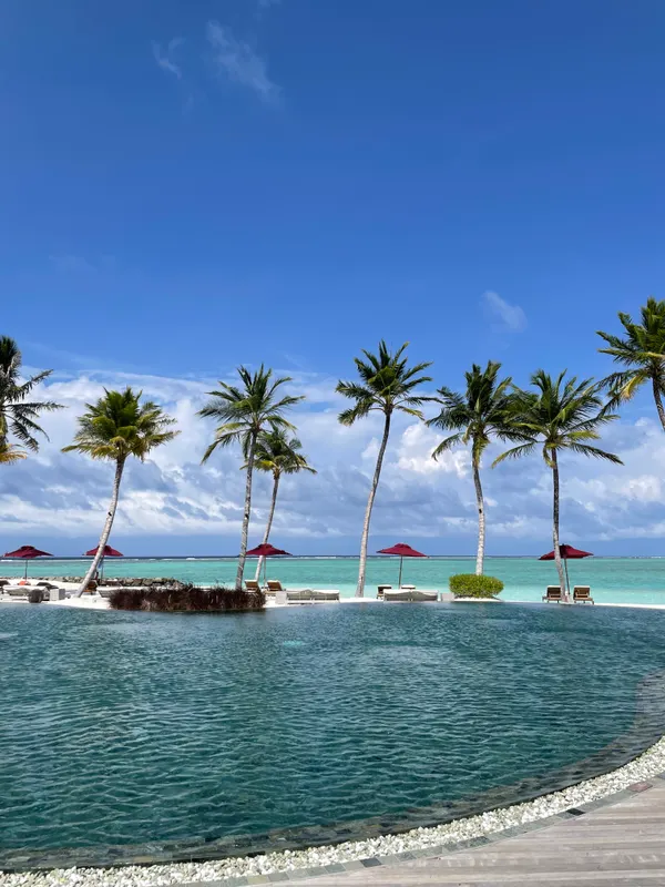 Melia Whale Lagoon Maldives фото 57