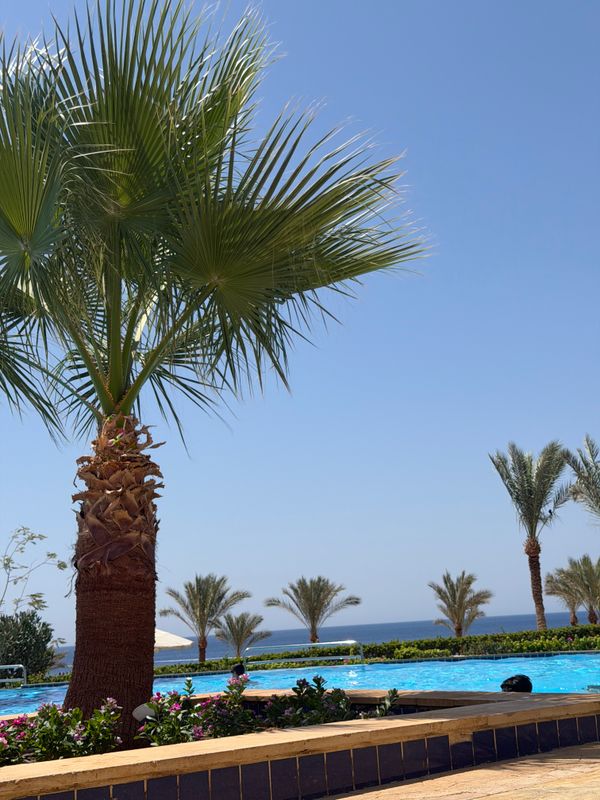 Continental Plaza Beach Resort фото 66