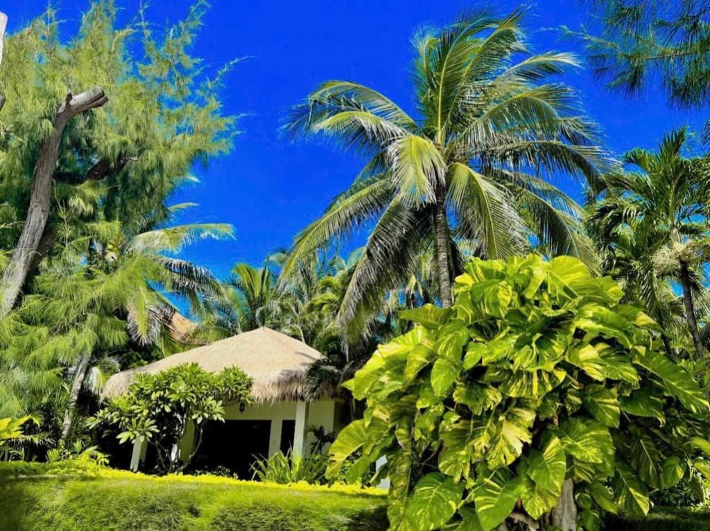 Cham Villas Boutique Luxury Resort фото 48