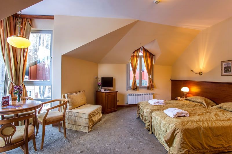 Hotel Sokol - Half Board фото 6