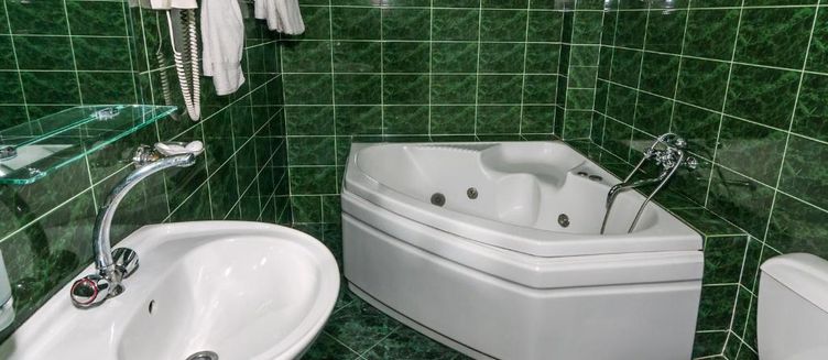 Фото отеля Hotel VIP