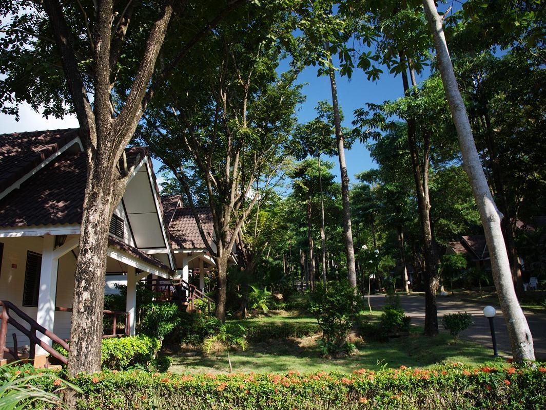 Lanta Manda фото 10