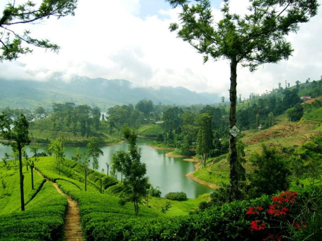 Galway Forest Lodge, Nuwara Eliya фото 8