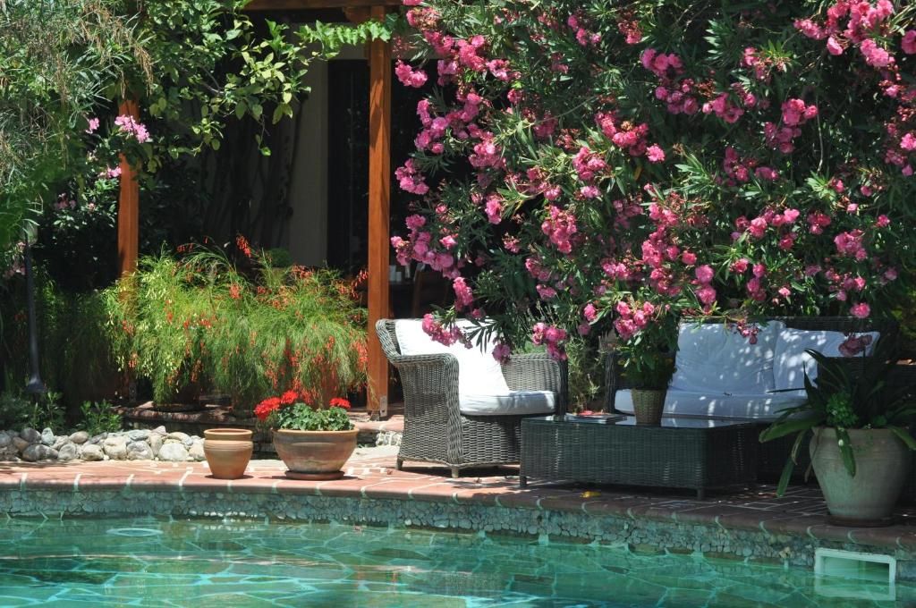 El Vino Hotel & Suites фото 47
